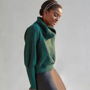 Anthropologie brand Dolan green turtleneck sweater